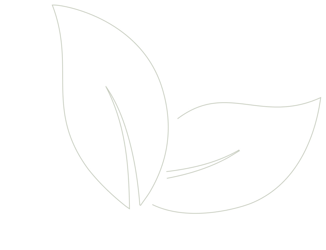 Leaves Vector