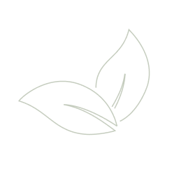Leaves Vector