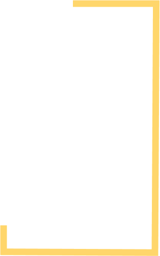 Lines Vector